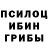 Псилоцибиновые грибы мицелий Olga Sabirova