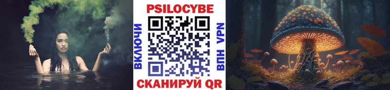 Псилоцибиновые грибы прущие грибы Кольчугино